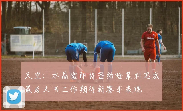 天空：水晶宫即将签约哈莱利完成最后文书工作期待新赛季表现